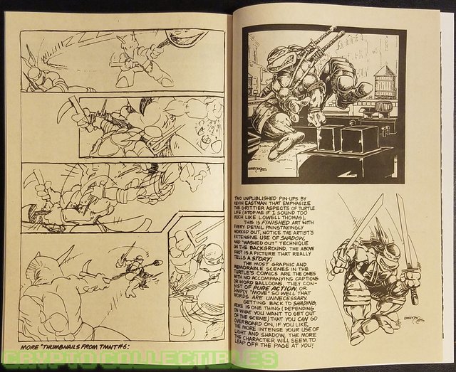 HOW to Draw Teenage Mutant Ninja Turtles (Solson) (1986 Series) #1