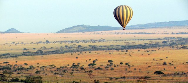 Balloon over serengeti