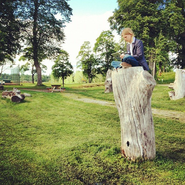 Daniel hacking on a tree stump in Ockelbo