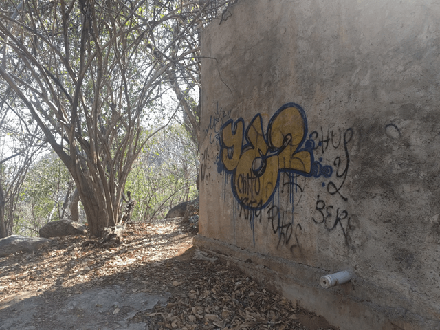 Graffiti and Trail
