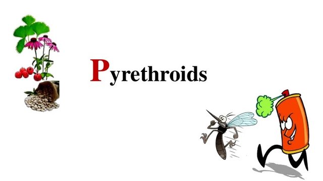 Pyrethroids Market