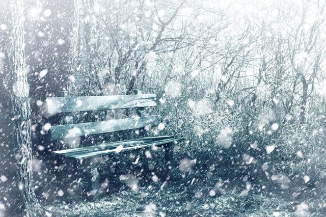 A bench in snow