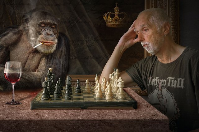 Man and monkey playing chess