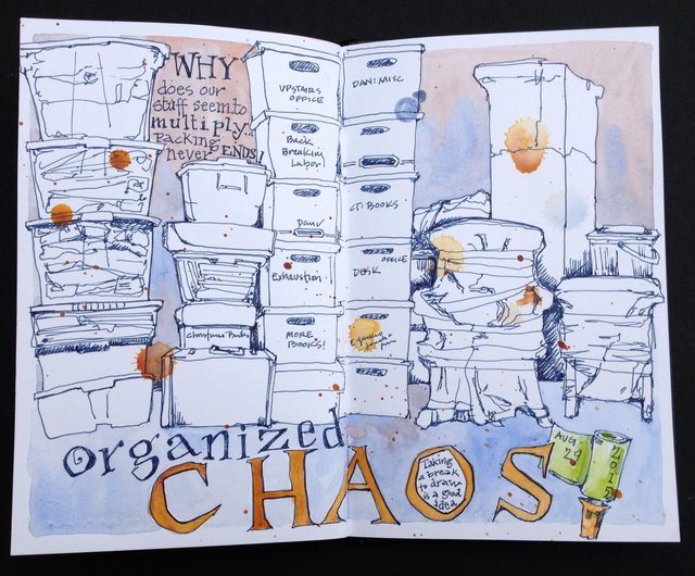 Organized Chaos | Drawn In