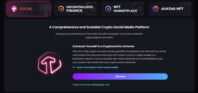 Decentralized Social Metaverse Torum