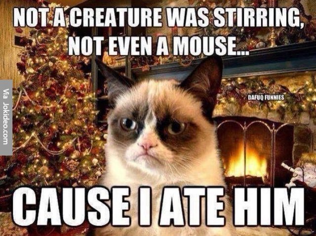 Image result for grumpy cat meme christmas