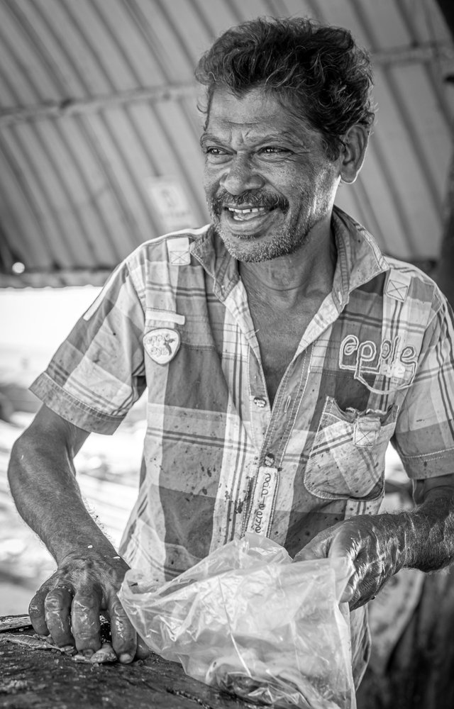 Fish Vendor at Negombo Fish Market