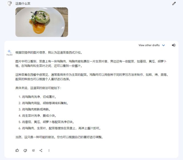 问Google Bard这是什么菜