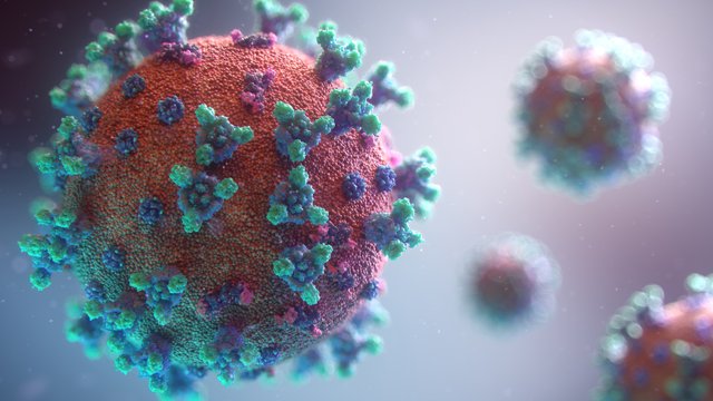 SARS-NCOV virus protein