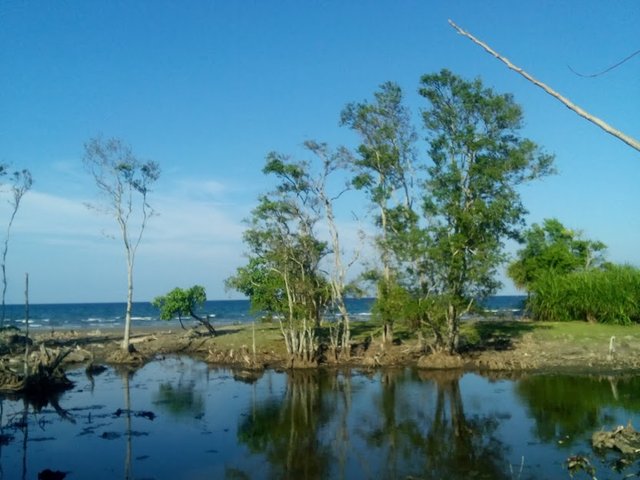 Pemandangan Pantai Yang Indah Di Desa Saya Aceh Besar