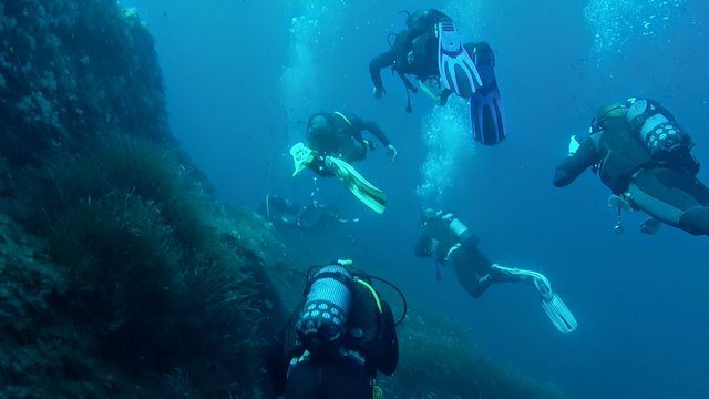 divingpicture