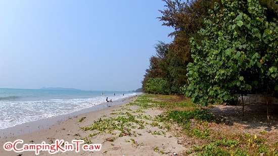 พาไปเท ยวสวนสน จ งหว ดระยอง steemit
