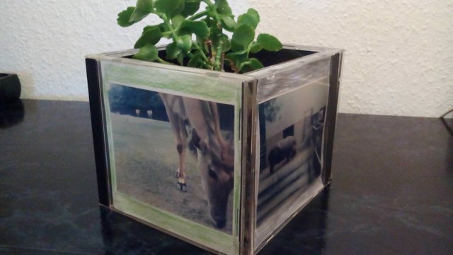 Fotorahmen Aus Alten Cd Hullen Basteln How To Make A Picture Frame Out Of Old Cd Cases Steemit