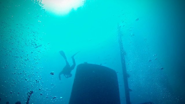 divingpicture