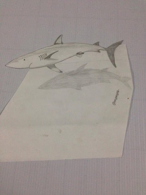 shark drawing in pencil easy