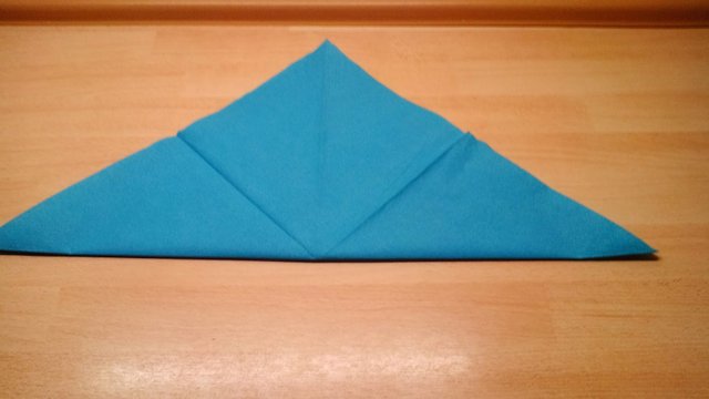 Delphin Illustrierte Faltanleitung Photographed Napkin