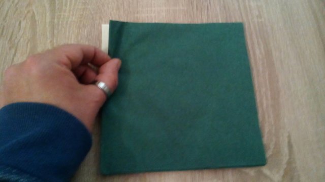 Palme Deko Falten Photographed Napkin Folding