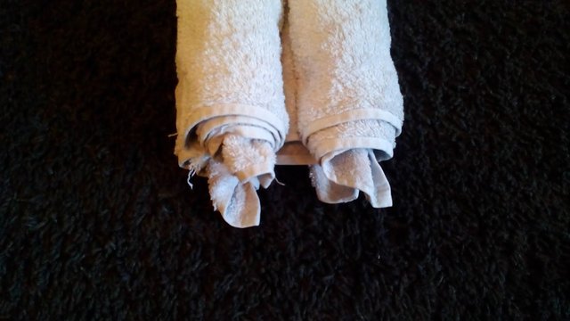 Handtuch Origami Hund Illustrierte Faltanleitung How To