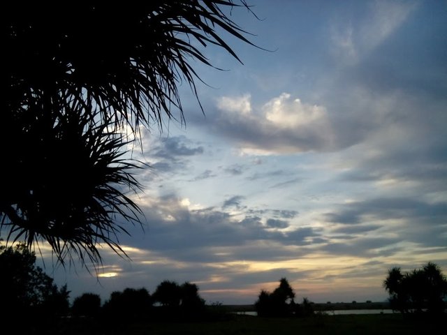 Pemandangan Keindahan Alam Di Waktu Senja Di Desa Saya Aceh Besar Indonesia 2 Scenery Natural Beauty At Dusk In My Village Aceh Big Indonesia 2 Steemit