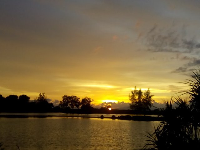 Keindahan Alam Di Waktu Senja Natural Beauty At Dusk Steemit