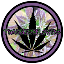 transientflowers logo