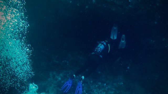 divingpicture