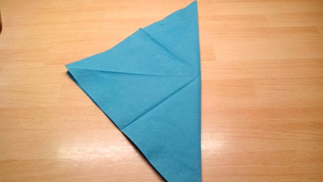 Maus Illustrierte Faltanleitung Photographed Napkin