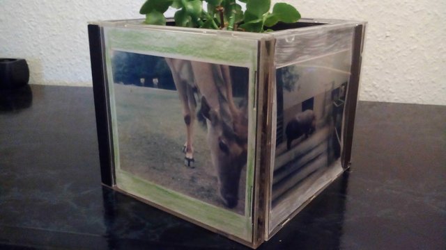 Fotorahmen Aus Alten Cd Hullen Basteln How To Make A Picture Frame Out Of Old Cd Cases Steemit