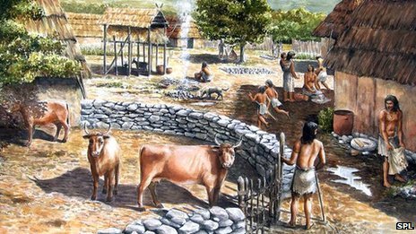 The neolithic period