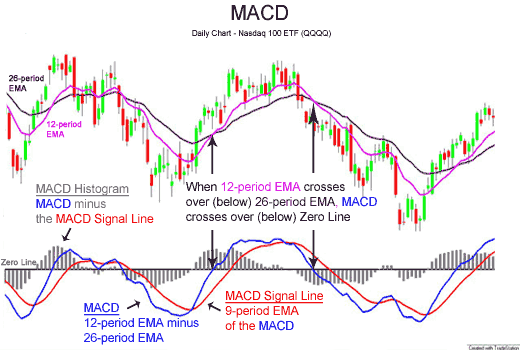 MACD Signal Indicator