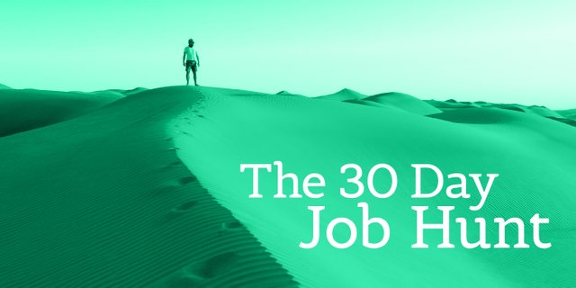 The 30 Day Job Hunt