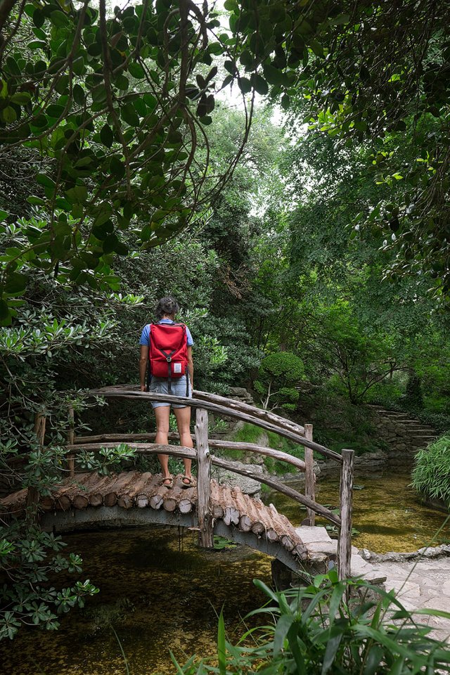 Zilker Botanical Garden + 101 Things to Do in Austin Texas - The Ultimate Austin Bucket List // localadventurer.com