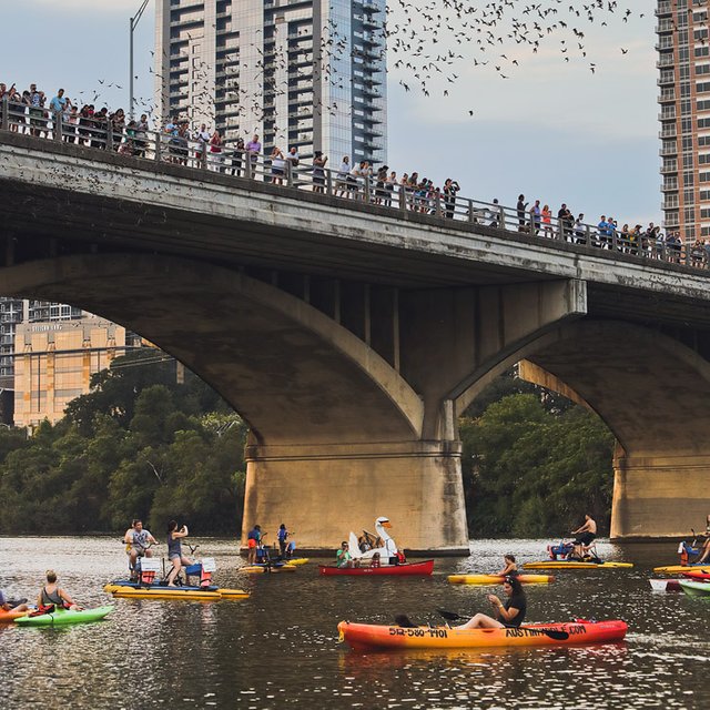 Lady Bird Lake + 101 Things to Do in Austin TX // localadventurer.com