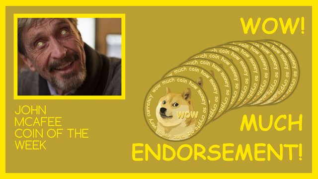 John McAfee Much Dogecoin