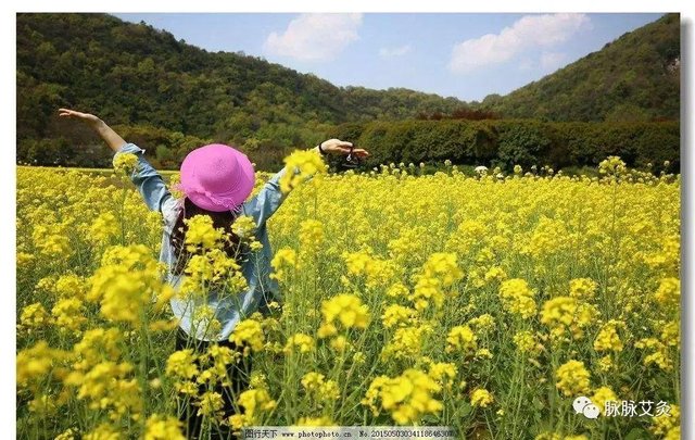 耳聋耳鸣艾灸法：最全配图，一学就会！