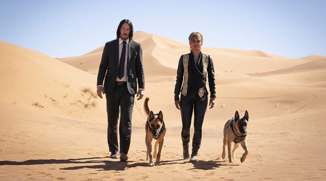 Keanu Reeves and Halle Berry in John Wick: Chapter 3 - Parabellum (2019) (Pelicula Completa)