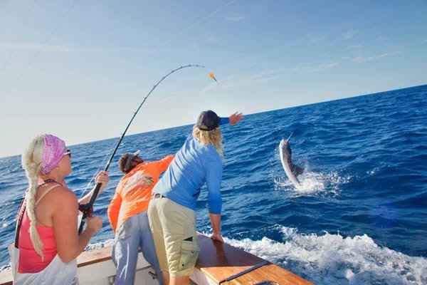 Fishing charters 