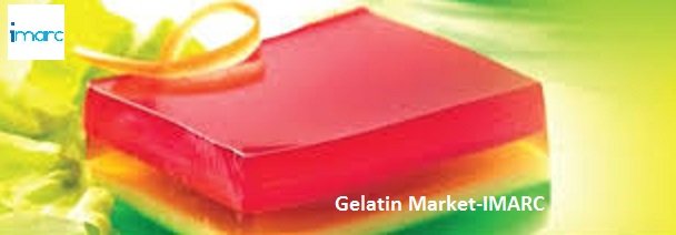 gelatin market1