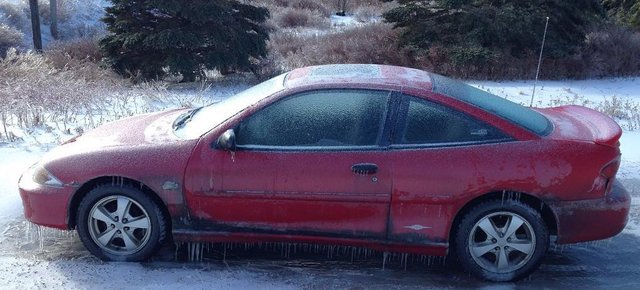 Frosted CAVALIER early 2018  image-0002.jpg