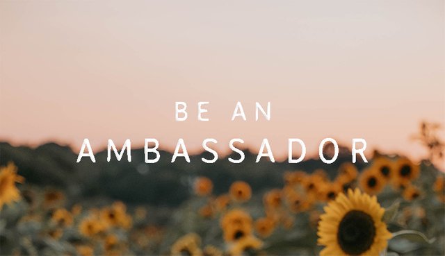 Be+an+Ambassador.jpg