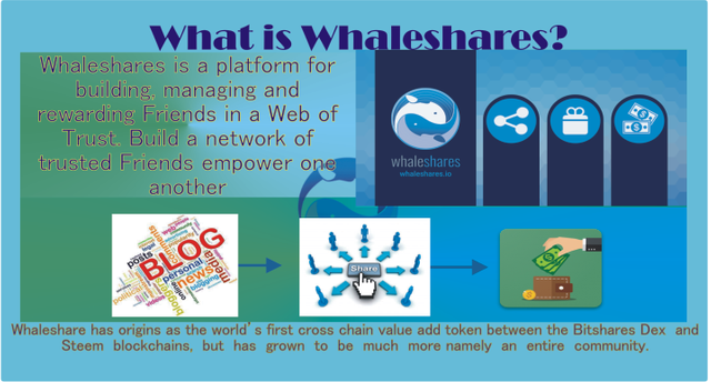 Whaleshare infographics1.png