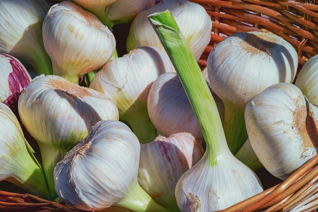 garlic-3471701_1920.jpg