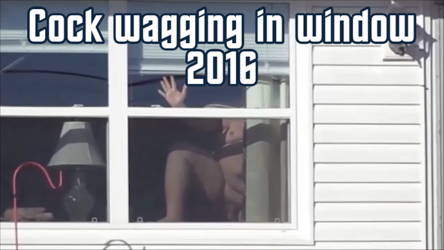 Cock wagging in window 2016 title-0001A.png