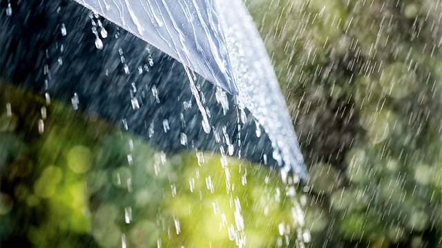 Bangladeshi Rain