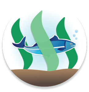 Minnow Support