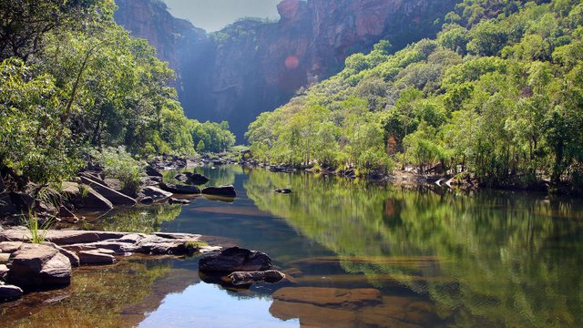 Kakadu