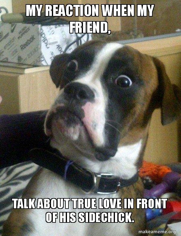 Meme My Reaction When My Friend Talk About True Love In Front Ha Ha Funny Life Steemit