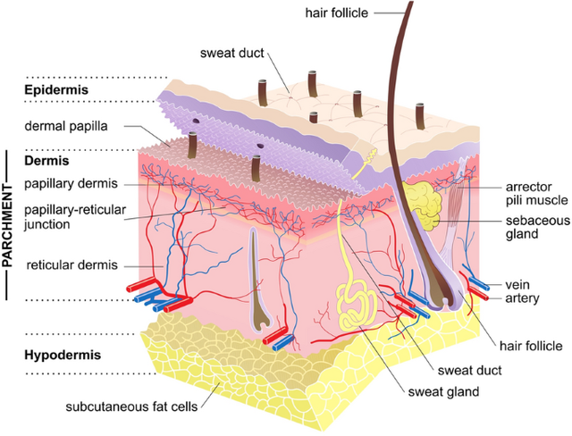 figure3