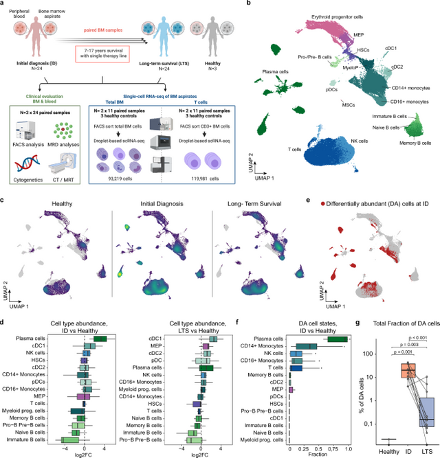 Neural Circuits