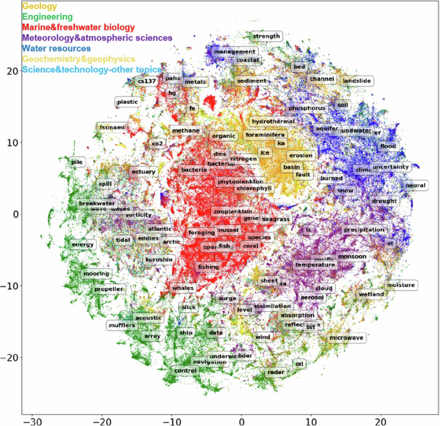 Immune System and COVID-19